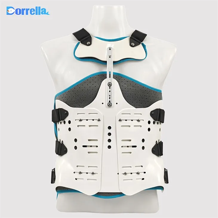 Colonna toracolombare